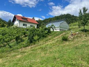 a house on top of a hill with a greenhouse at Weingut Kleinmonte in Leutschach