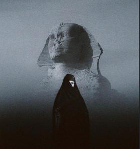 a bird in the water with a face in the water at ايجار و سائق سيارات سياحي بمصر in Cairo