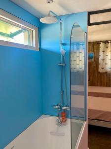 une salle de bain aux murs bleus et une douche en verre dans l'établissement Mas de la Cadenière, à Saint-Rémy-de-Provence