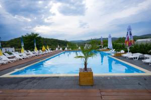 a large swimming pool with lounge chairs and umbrellas at Vaya Retreat in Săsenii Vechi