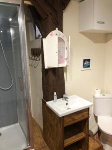 a bathroom with a sink and a shower and a toilet at House 2 people in Castaignos-Souslens