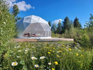 SõmeruBubble House glamping telk的花田里的玻璃 ⁇