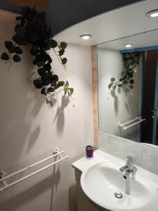 a bathroom with a sink and a mirror at Studio Hibiscus in Sainte-Anne +30 photos