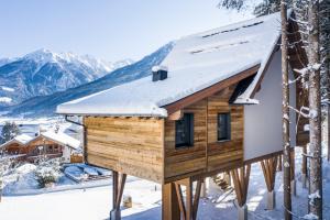 Cabaña de madera en la nieve con techo cubierto de nieve en Baumhaus by Hotel Gassner, en Neukirchen am Großvenediger 35 fotos más