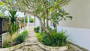 Κήπος έξω από το Phurintara Pool Villa Doi Saket Chiang Mai