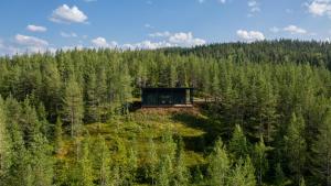 una vista aérea de una cabaña en medio de un bosque en Villa Pikku Karhu, en Kuusamo