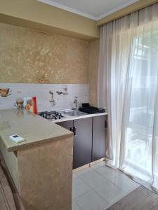 Kuchyň nebo kuchyňský kout v ubytování Hotel Alaverdi Palace + 221 fotografií