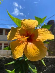 Photo de la galerie de l'établissement Casa de Praia Descanso das Trilhas, à Angra dos Reis