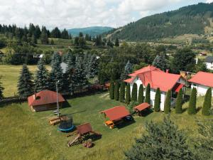 an aerial view of a field with a group of buildings at Pensiunea Valea Dornelor in Ortoaia
