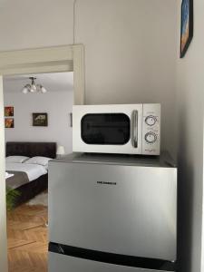 eine Mikrowelle auf einem Kühlschrank im Zimmer in der Unterkunft 12 Home in Reghin