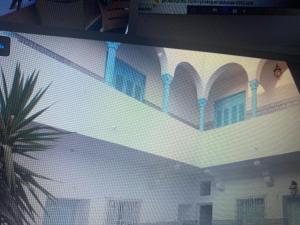 a white building with blue windows and a palm tree at MAHDIA REJICHE MAISON AVEC PISCINE privee in Rejiche +2 photos