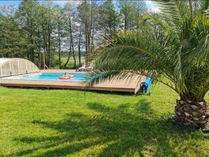 a palm tree sitting next to a swimming pool at Poilsiaviete Vakaris in Gudeliai +26 photos