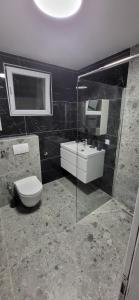 a bathroom with a toilet and a sink and a mirror at Apartman Lala in Sarajevo +8 photos