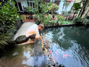 a man is looking at a koi in a pond at Lá house Hà Nội in Dong Anh +3 photos