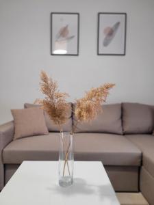 a vase with dried plants on a table in front of a couch at Center River Apartment in Florina