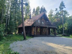 a log cabin in the middle of the forest at Rooslepa puhkemaja in Tuksi +30 photos