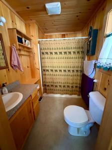 a small bathroom with a toilet and a sink at Sandy Beach, Private Dock & Boat Access in Meredith +45 photos
