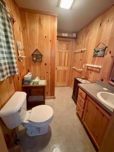 a bathroom with a toilet and a sink at Sandy Beach, Private Dock & Boat Access in Meredith