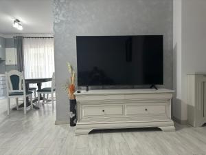 TV a/nebo společenská místnost v ubytování Moderno Stay Bistrița