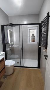 a bathroom with a shower with a toilet and a window at Cantabria Suites - Ruamayor in Santander