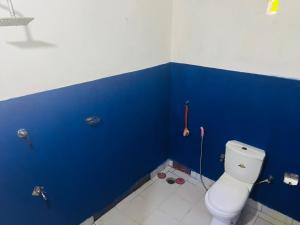 a bathroom with a blue wall and a toilet at Sigiriya World Hostal in Sigiriya