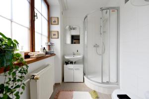 Koupelna v ubytování Apartmán POD HRADOM