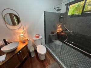 a bathroom with a toilet and a sink and a shower at La cabana de Tata books, nature, and contemplation in Tayutic