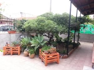 Un patio o zona al aire libre en Villa Frida
