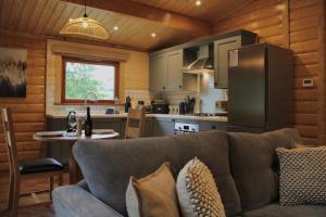 サマートンにあるViaduct Fishery Lodgesのソファとキッチンのあるリビングルーム