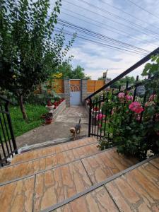 Gallery image of Apartament in vila in Paşcani
