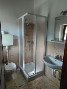 a bathroom with a shower and a toilet and a sink at Appartamento Farnia a 3km da Garda in Castion Veronese