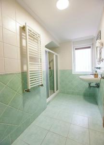 a bathroom with a shower and a sink at Casa Rural Lagun Etxea in Pobes