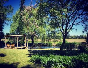 a gazebo in a field next to a lake at Alma Sur Lodge in Chillancito