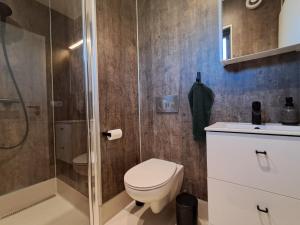 ein Badezimmer mit Toilette und Dusche in der Unterkunft Guesthouse Klambrasel in Skogar