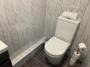 a bathroom with a white toilet and a sink at 155 Studio 1 - Uplands in Swansea