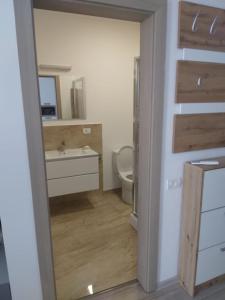 un bagno con un water, un lavandino e uno specchio di Studio Andrei a Baile Felix