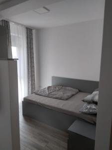 una camera da letto con un letto in una stanza con una finestra di Studio Andrei a Baile Felix