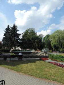 a person sitting on a bench in a park at Apartament Green in Krosno