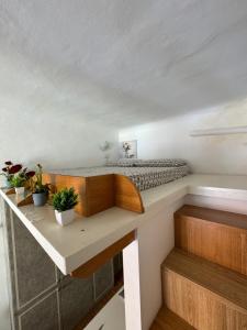 a room with a bed and a desk with potted plants at Cozy Escape Porta Romana in Milan