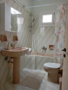 un bagno con lavandino, doccia e WC di Maria's Cottage a Città di Lefkada