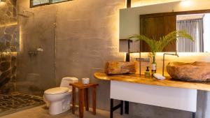 PapagallerosNatural Luxury Birding Lodge的带水槽、马桶和淋浴的浴室 更多36张照片