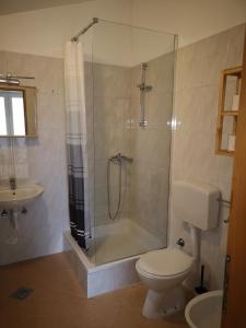 a bathroom with a shower and a toilet and a sink at Holiday house Catela in Rakalj +44 photos
