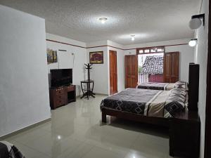 a bedroom with a bed and a flat screen tv at Posada Brisas Cuetzalan in Cuetzalán del Progreso