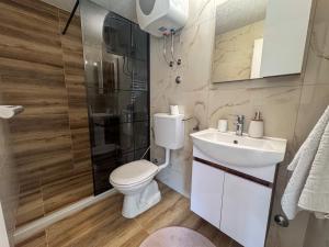 a bathroom with a toilet and a shower and a sink at Rest House in Olovo +36 photos