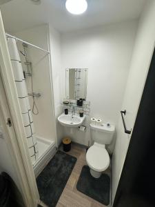 a small bathroom with a toilet and a sink at 248 Halls in Middlesbrough