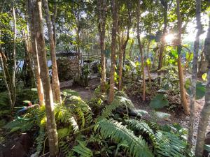 Taman di luar GaiaPipa ComunidArte