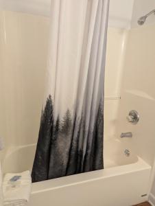 Gallery image of Western Inn Motel & RV Park in Fairplay +2 photos