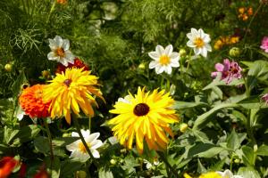 A garden outside St.George's Bay Country Club & Spa