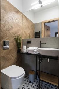 a bathroom with a toilet and a sink at Willa Jodełka in Zakopane