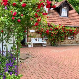 Gallery image of Gästehaus Alte Liebe in Borgholzhausen +23 photos